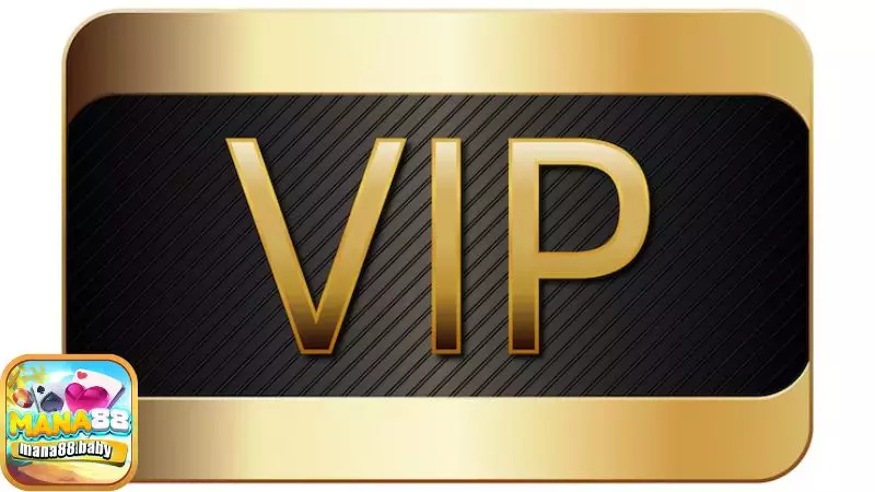Chính sách VIP Chính sách VIP