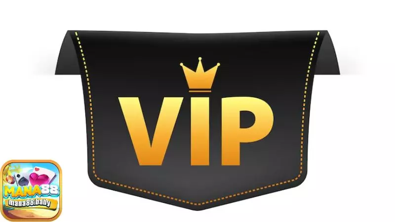 Chính sách VIP Chính sách VIP
